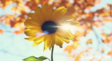 �������]�ž��x���ġ�ʮƪ��