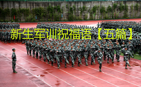 ����܊Ӗ(x��n)ף���Z����ƪ��