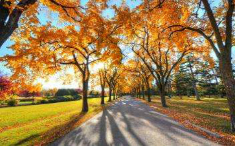 �Ґ��＾800�ֳ������ġ���ƪ��