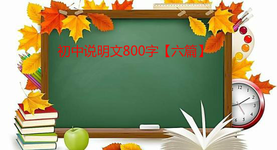 �����f(shu��)����800�֡���ƪ��